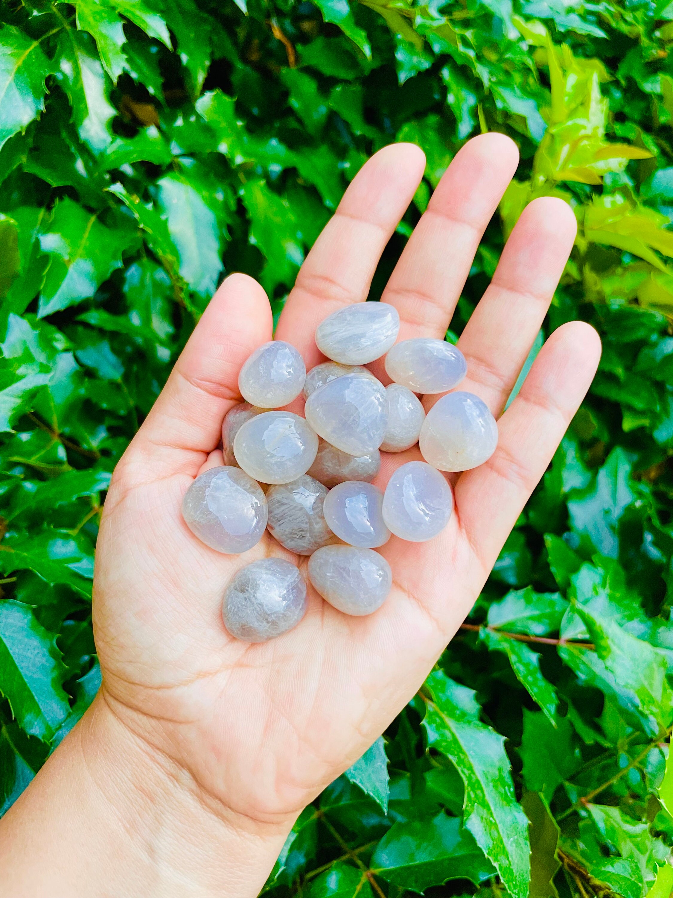 Tumbled Blue Rose Quartz Crystal: Polished Gemstone (15-25 Mm)