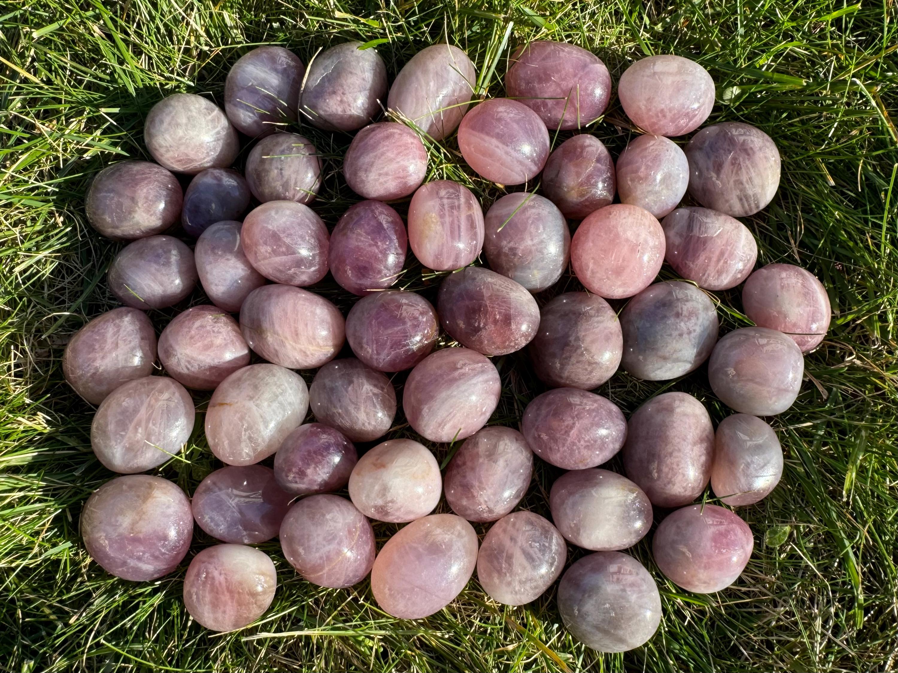 Lavender Star Rose Quartz Tumbled Stones: 1/4 Lb Asterism Crystals Bulk Lot