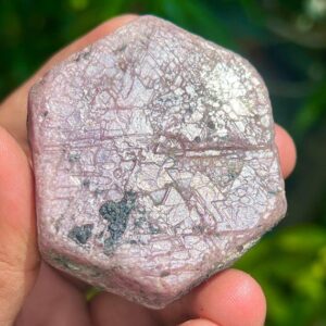 Raw Ruby Crystal – 629.50 Carat Sacred Geometry Record Keeper