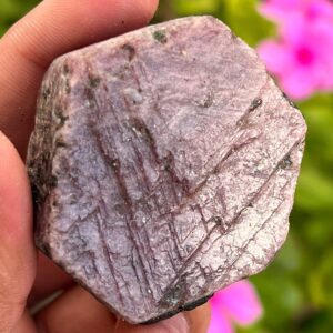 Raw Ruby Crystal: Sacred Geometry Record Keeper, 599.6 Carat