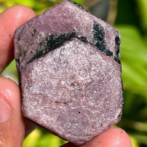 Raw Ruby Crystal: Sacred Geometry Record Keeper, 398.35 Carat