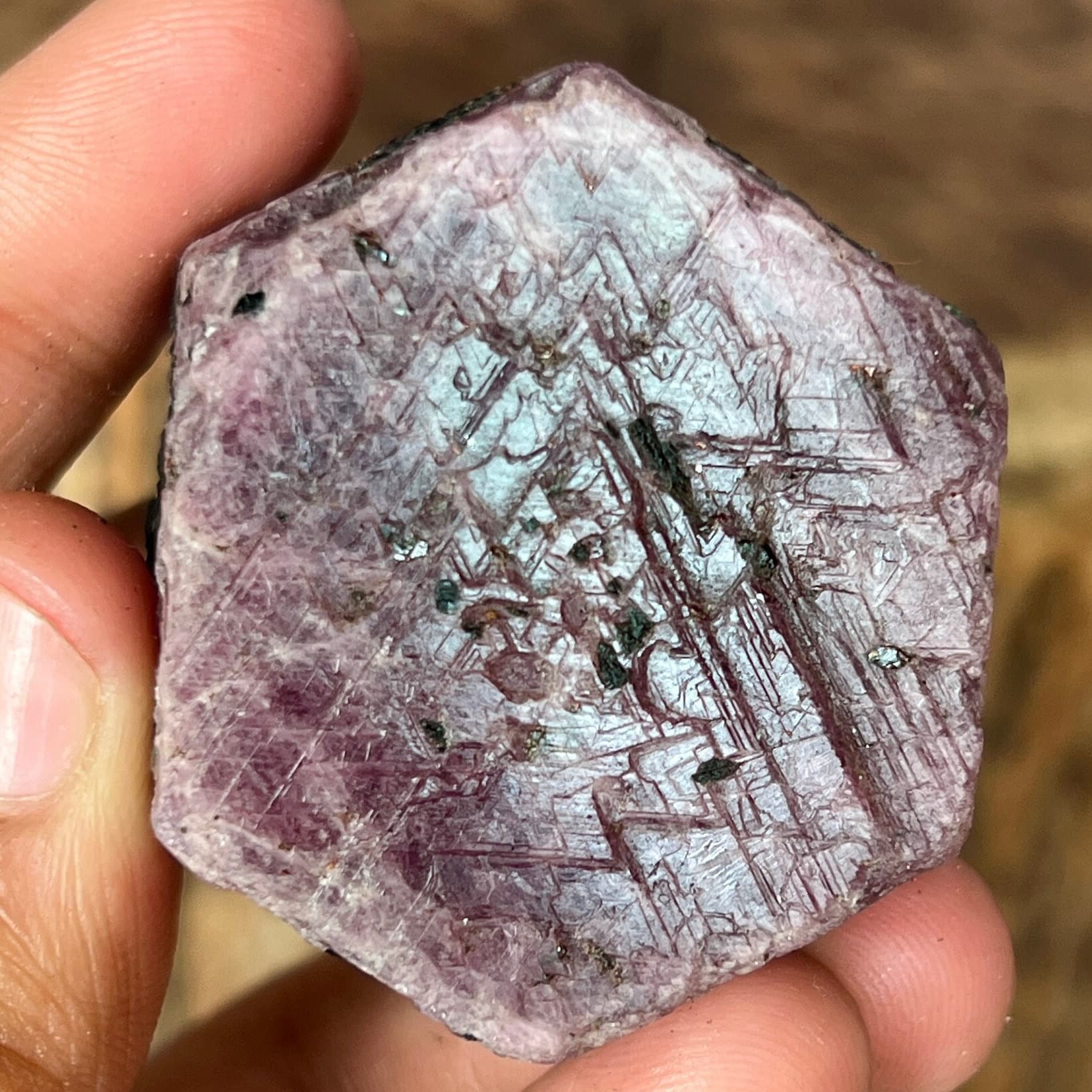 Raw Ruby Crystal: Sacred Geometry Hexagon, 736.7 Carat Record Keeper