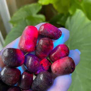 Tumbled Top Grade Ruby , Uv Reactive, Tumbled Ruby Stars, Tumbled Top Grade Ruby , Uv Reactive, Tumbled Ruby Stars,