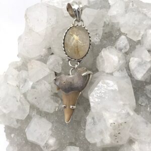 Shark Tooth and Golden Rutilated Quartz Pendant