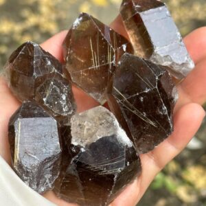 6 Pcs Golden Rutile Quartz Crystal Point/Quartz Inclusion/Reiki/Healing Crystal/Meditation/Golden Needle Included -299 g 6 Pcs Golden Rutile Quartz Crystal Point/Quartz Inclusion/Reiki/Healing Crystal/Meditation/Golden Needle Included -299 g