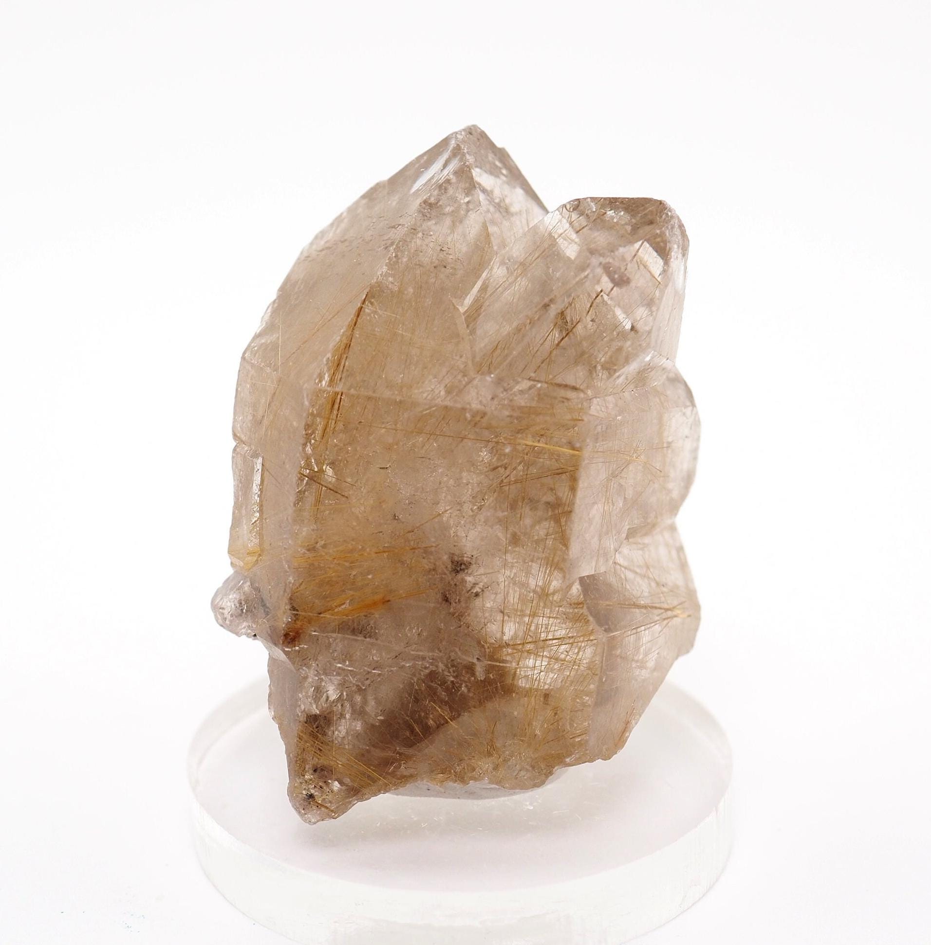 Rutilated Quartz Crystal Point Brazil