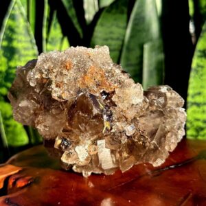 Golden Rutilated Quartz crystal cluster - Quartz w/ Golden Rutile