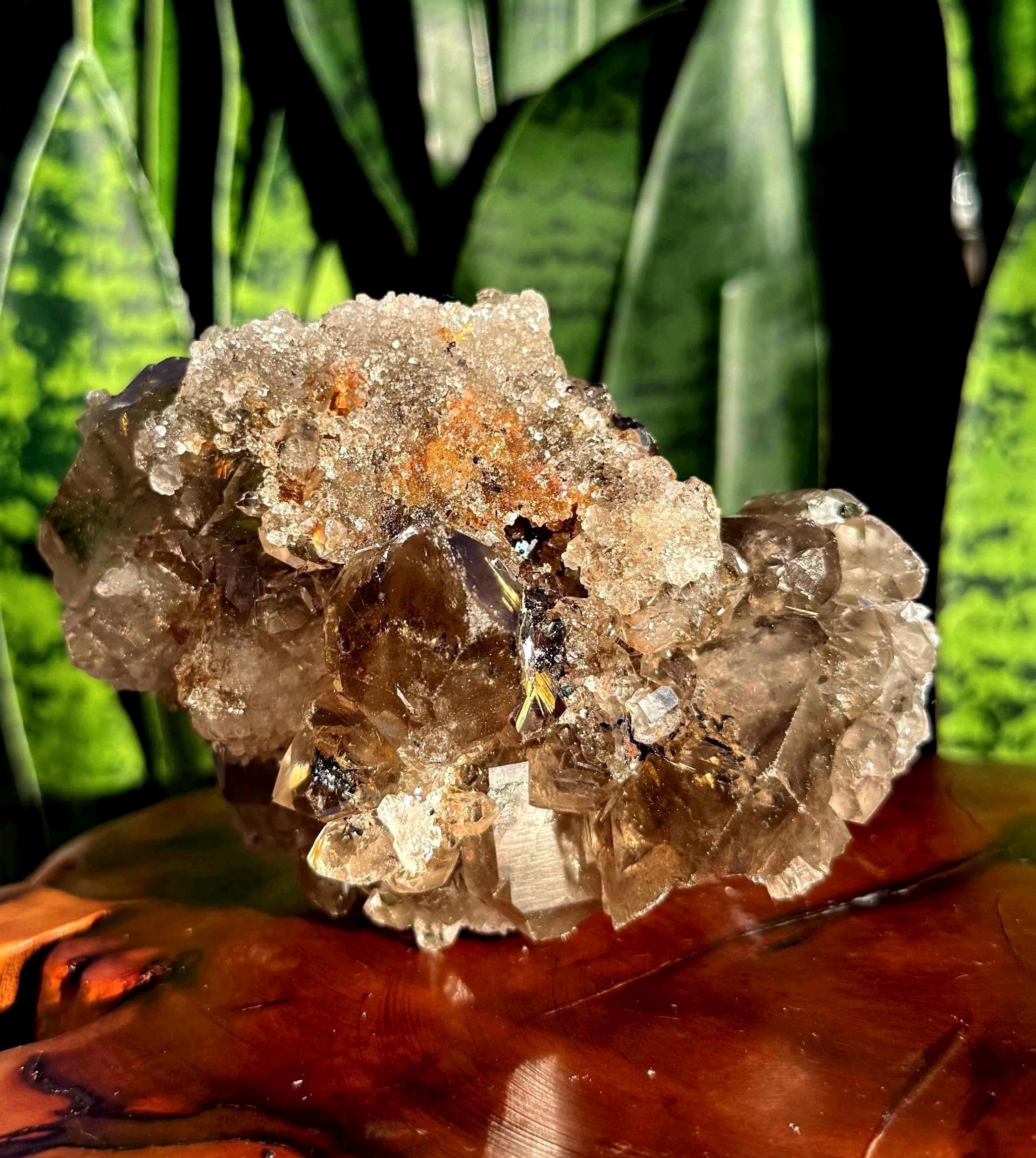 Golden Rutilated Quartz Crystal Cluster - Quartz W/ Golden Rutile