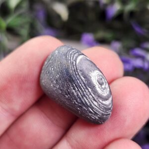 Polished Sapphire Crystal - Tumbled Sapphire - Sapphire Stone - Polished Sapphire - Sapphire Specimen - Sapphire Tumbled Stones - Sapphire