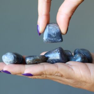 Sapphire Tumbled Stones Intuitive Reader Blue Precious Gem