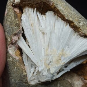 Scolecite Spray Geode: Natural Mineral Specimen Premiume Collection Scolecite Spray Geode: Natural Mineral Specimen Premiume Collection