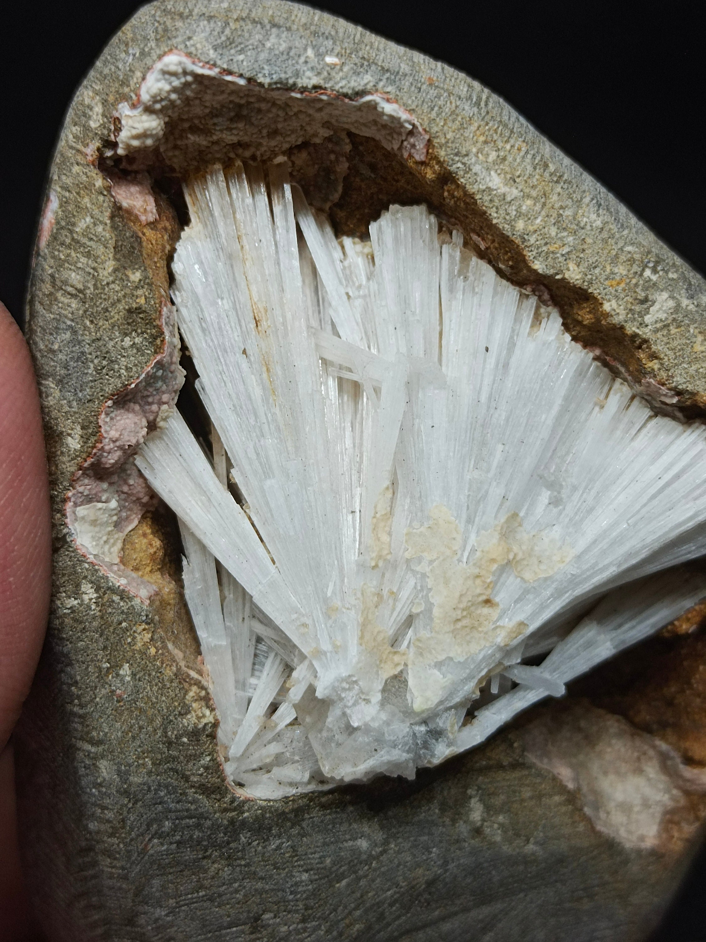 Scolecite Spray Geode: Natural Mineral Specimen Premiume Collection