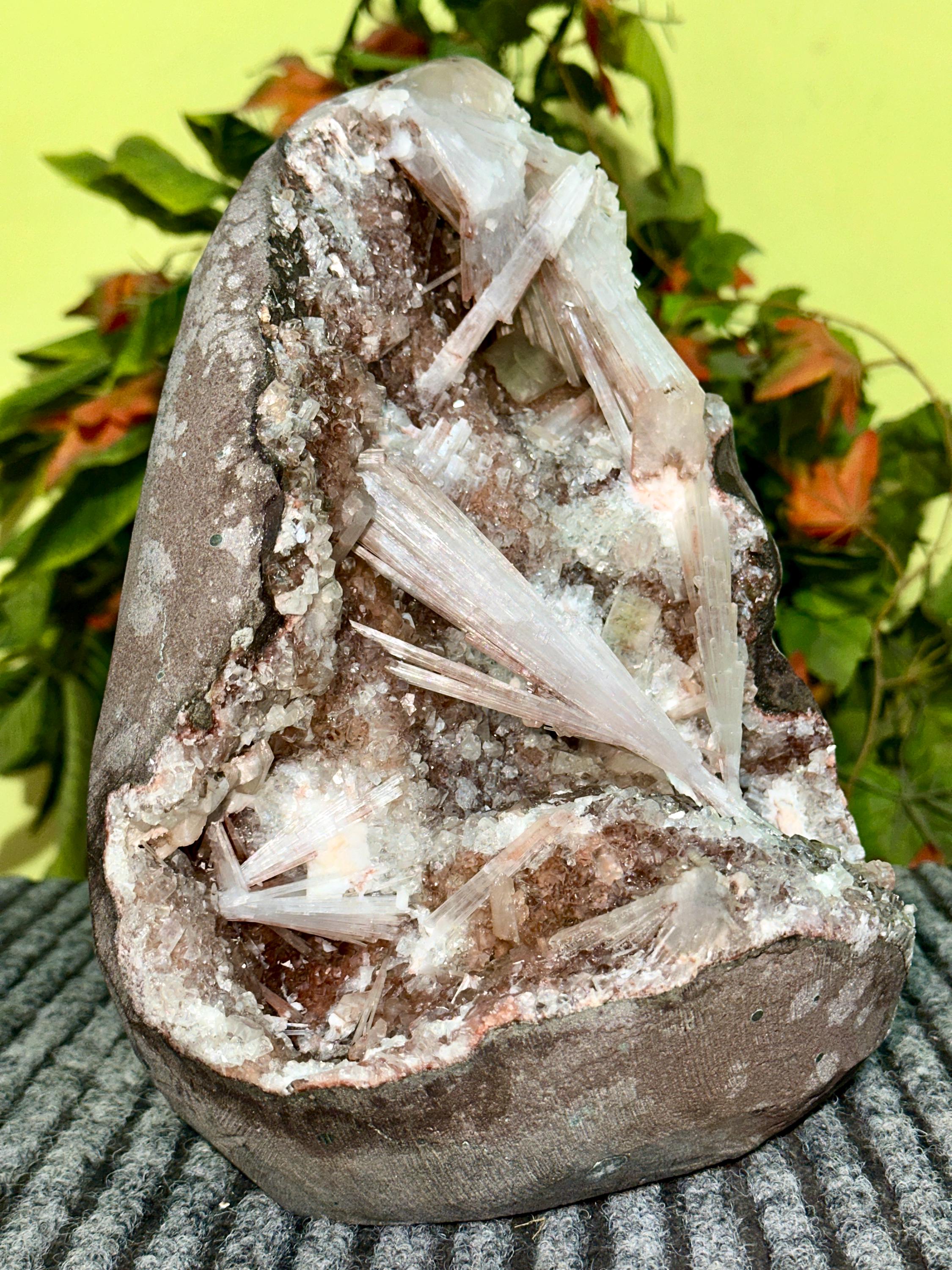 Xl Scolecite Cluster: Museum Grade Mineral Specimen India Xl Scolecite Cluster: Museum Grade Mineral Specimen India