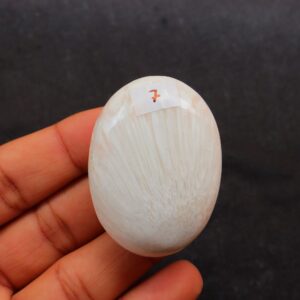 Medium Scolecite Palm Stone, Scolecite Piece, Scolecite Palmstone, Scolecite Stone, Calming Stone- Meditation Stone, Scolecite Heart Stone Medium Scolecite Palm Stone, Scolecite Piece, Scolecite Palmstone, Scolecite Stone, Calming Stone- Meditation Stone, Scolecite Heart Stone