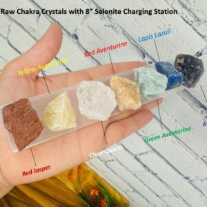 Raw Chakra Stone Set with 8" Selenite Charging Station Bar & Velvet Pouch, Mediation, Healing