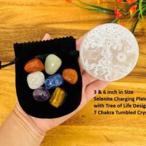 Selenite Charging Station Engraved With Tree Of Life And 7 Chakra Tumbled Stones Set