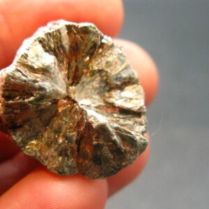 Rare Raw Polished Seraphinite Clinochlore Angels Wings Piece From Russia - 0.9" Rare Raw Polished Seraphinite Clinochlore Angels Wings Piece From Russia - 0.9"