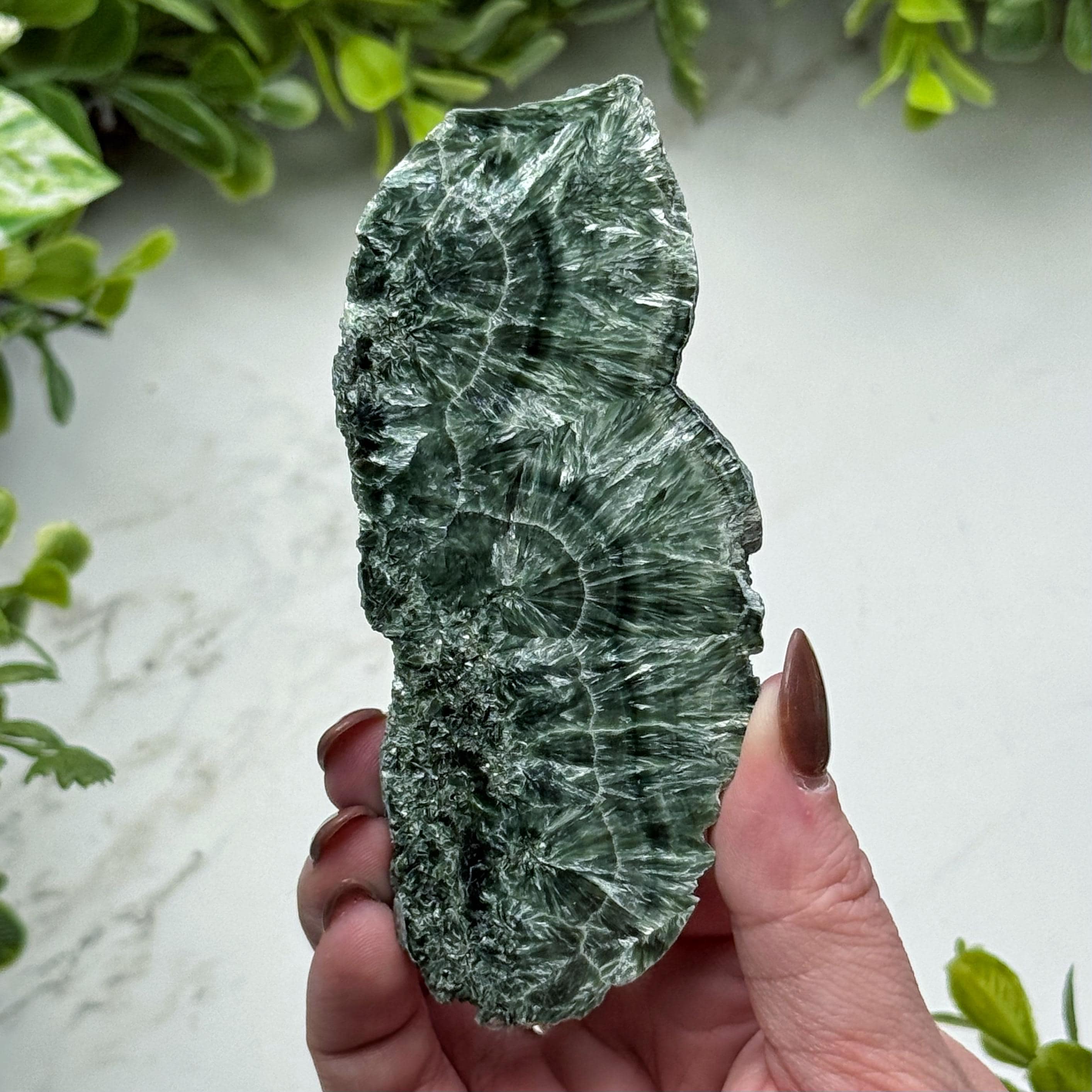 Seraphinite Slab , 90g , - #11 (polished Green Crystal Chunk, Healing Stone, Heart Chakra, Compassion)