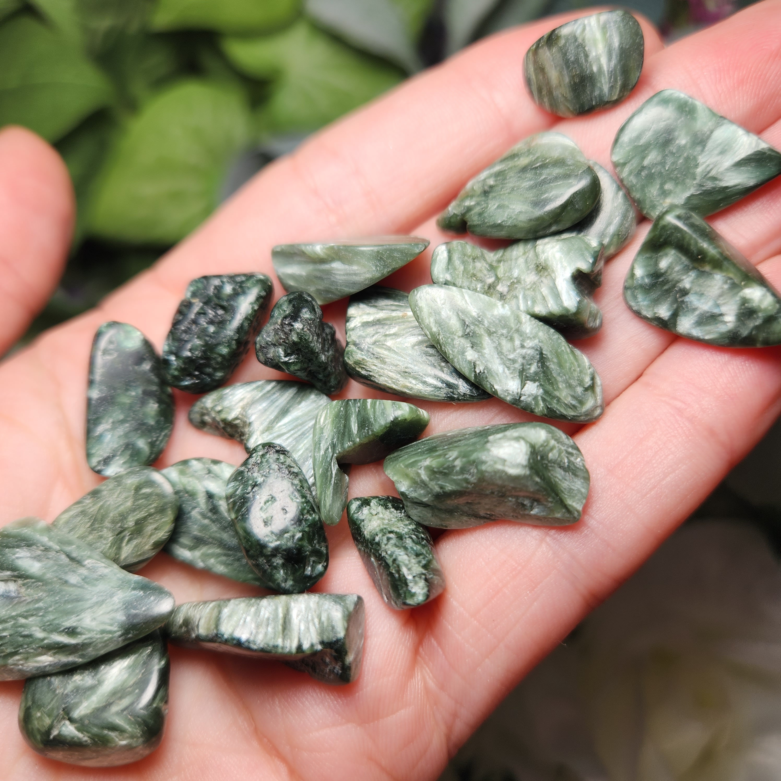 Seraphinite Crystal, Green Seraphinite Tumbled Stone Chips (1g+)