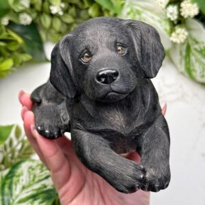 Black Serpentine Dog Carving | 34 Oz | - #s35 (polished Black Crystal, Root Chakra, Grounding) Black Serpentine Dog Carving | 34 Oz | - #s35 (polished Black Crystal, Root Chakra, Grounding)