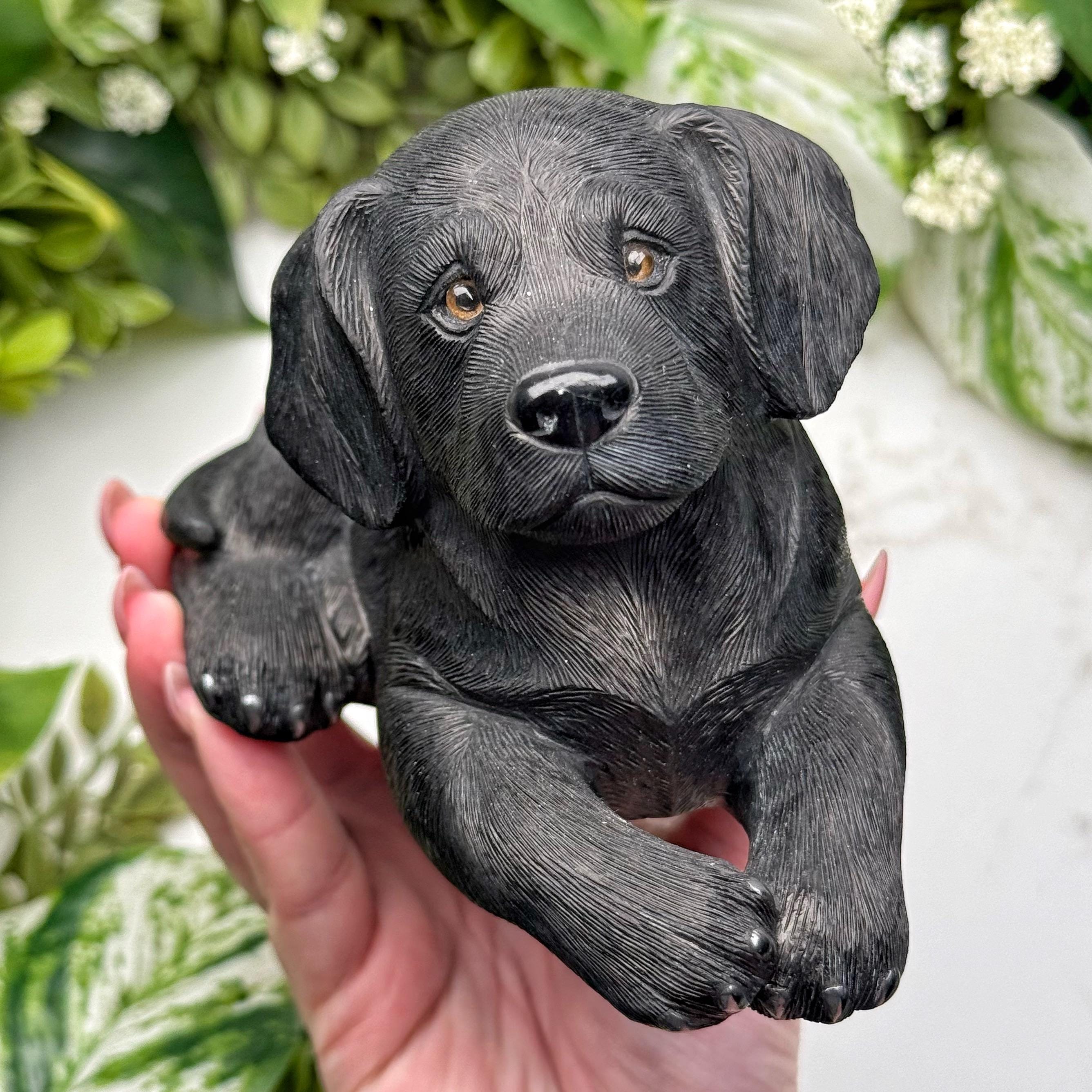 Black Serpentine Dog Carving | 34 Oz | - #s35 (polished Black Crystal, Root Chakra, Grounding)