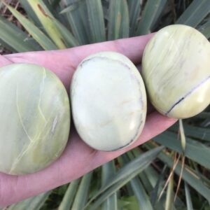 Serpentine Infinite Crystal Palm Stone 1.85”-2.25”