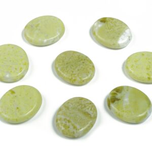 Serpentine Flat Disk - Slab Natural Stone – Flat Stone - Worry Stone - Healing Crystals – 30x25x7 - Fl1030 Serpentine Flat Disk - Slab Natural Stone – Flat Stone - Worry Stone - Healing Crystals – 30x25x7 - Fl1030