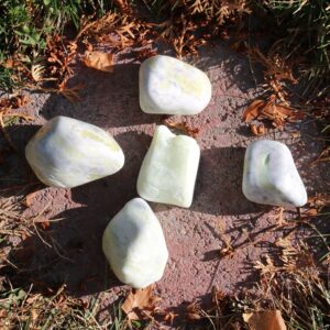 Lemon Washington Serpentine Polished Palm Free-Form #A-E* Lemon Washington Serpentine Polished Palm Free-Form #A-E*