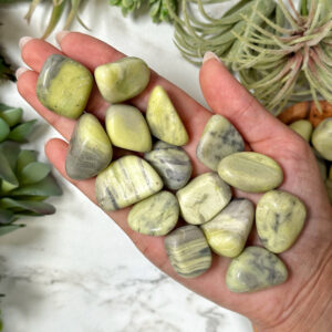 Serpentine Tumble | S, L | - No. 460 (polished Green Crystal Pocket Stone, Heart Chakra, Love)