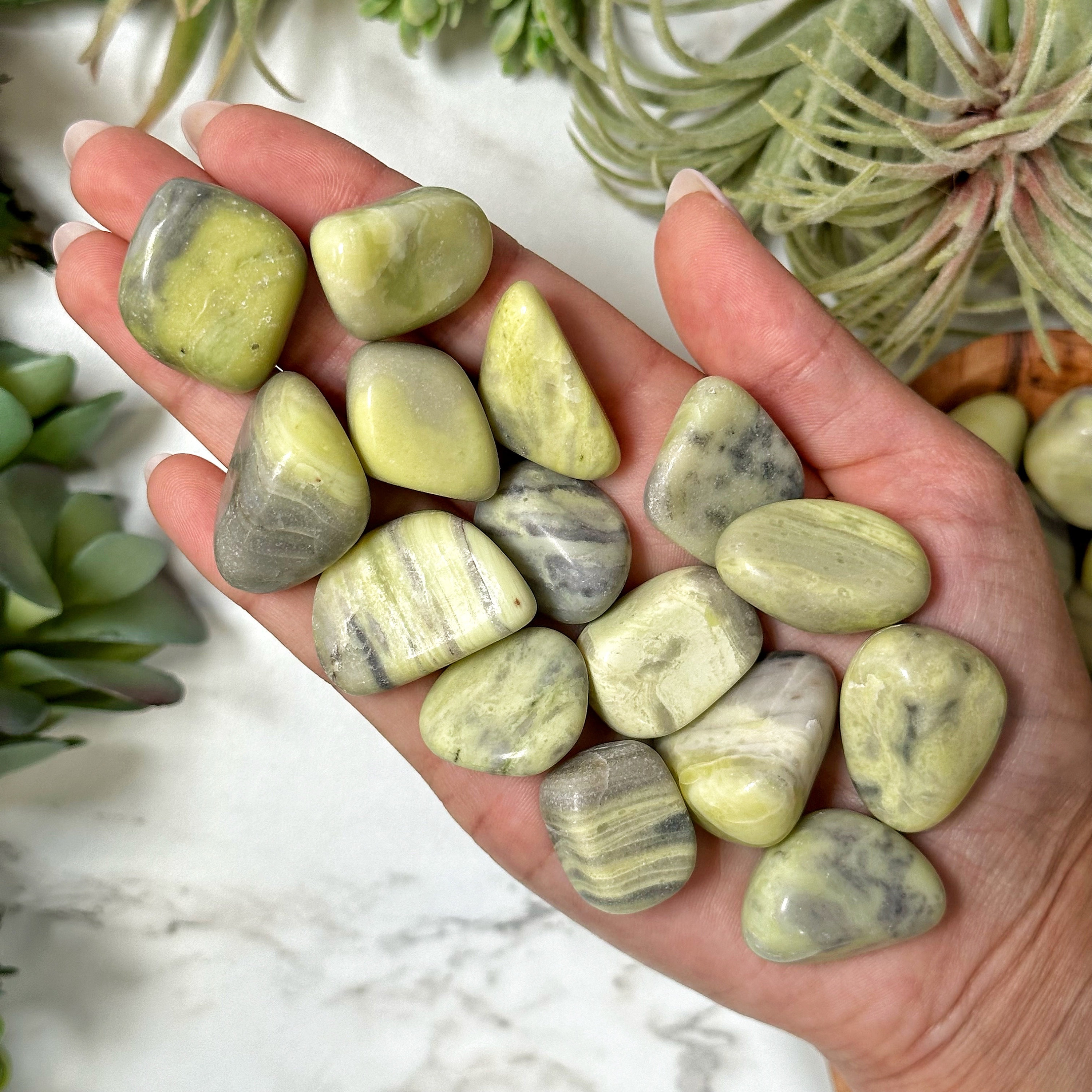 Serpentine Tumble | S, L | - No. 460 (polished Green Crystal Pocket Stone, Heart Chakra, Love)