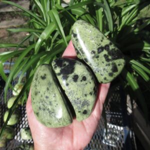 Serpentine Palm Stone - Choose One Zimbabwe Natural Spotted Green And Black Serpentine Serpentine Palm Stone - Choose One Zimbabwe Natural Spotted Green And Black Serpentine