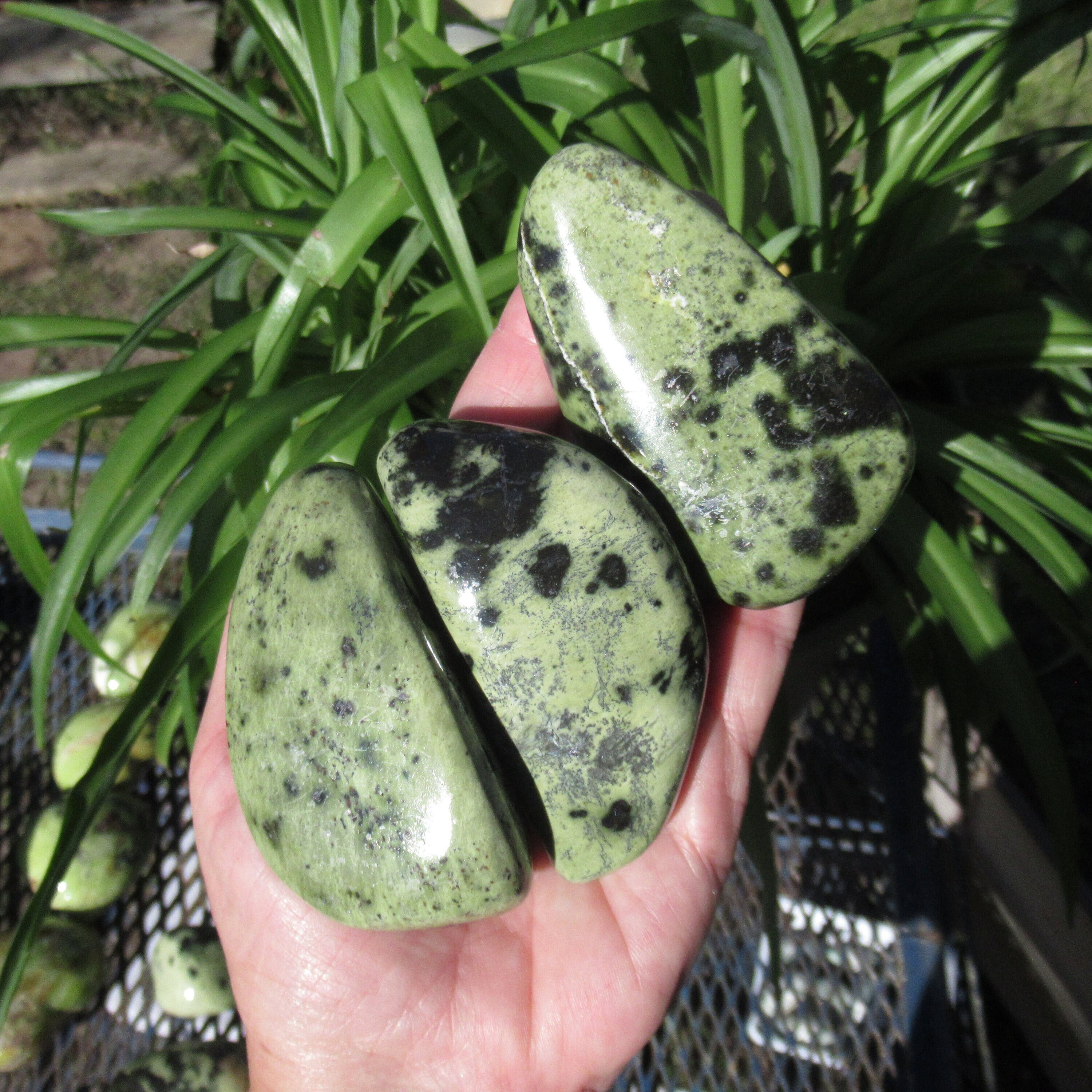 Serpentine Palm Stone - Choose One Zimbabwe Natural Spotted Green And Black Serpentine