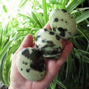Serpentine Palm Stone, Choose One Zimbabwe Spotted Serpentine Serpentine Palm Stone, Choose One Zimbabwe Spotted Serpentine