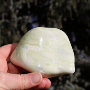 Swirl Washington Serpentine Polished Palm Piece #C* Swirl Washington Serpentine Polished Palm Piece #C*