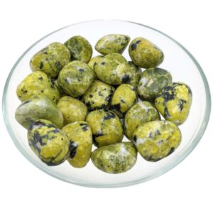 1 Lizardite 1" Serpentine Tumbled Stone (20g) #sk9163 1 Lizardite 1" Serpentine Tumbled Stone (20g) #sk9163