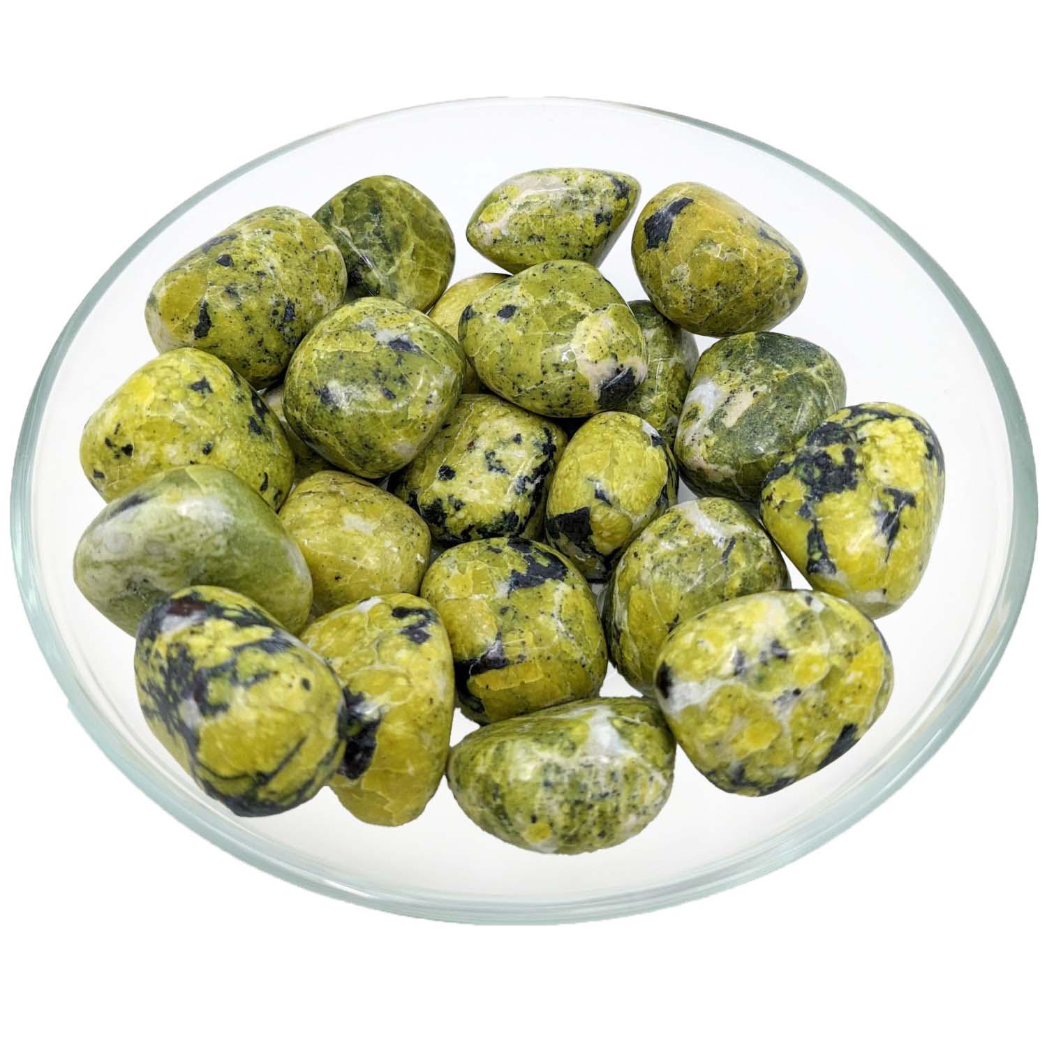 1 Lizardite 1" Serpentine Tumbled Stone (20g) #sk9163
