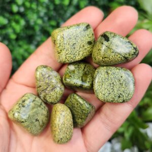 Asterite Serpentine - Serpentine Stone - Serpentine Tumbled - Serpentine Crystal - Green Serpentine - Serpentine Specimen - Asterite Tumble Asterite Serpentine - Serpentine Stone - Serpentine Tumbled - Serpentine Crystal - Green Serpentine - Serpentine Specimen - Asterite Tumble
