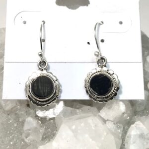 Shungite Earrings