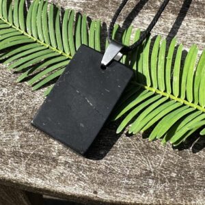 Unisex Shungite, Stainless Steel, EMF Protection, Healing Stone Necklace with Positive Healing Energy!