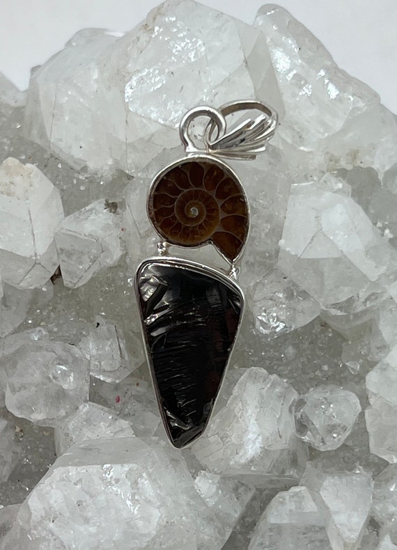 Black Shungite And Ammonite-pendant