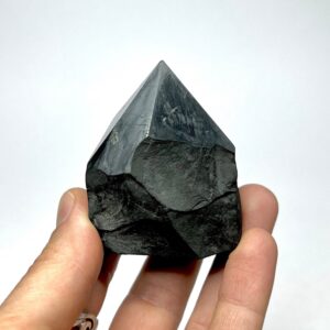 Raw Shungite Stone Mini Points