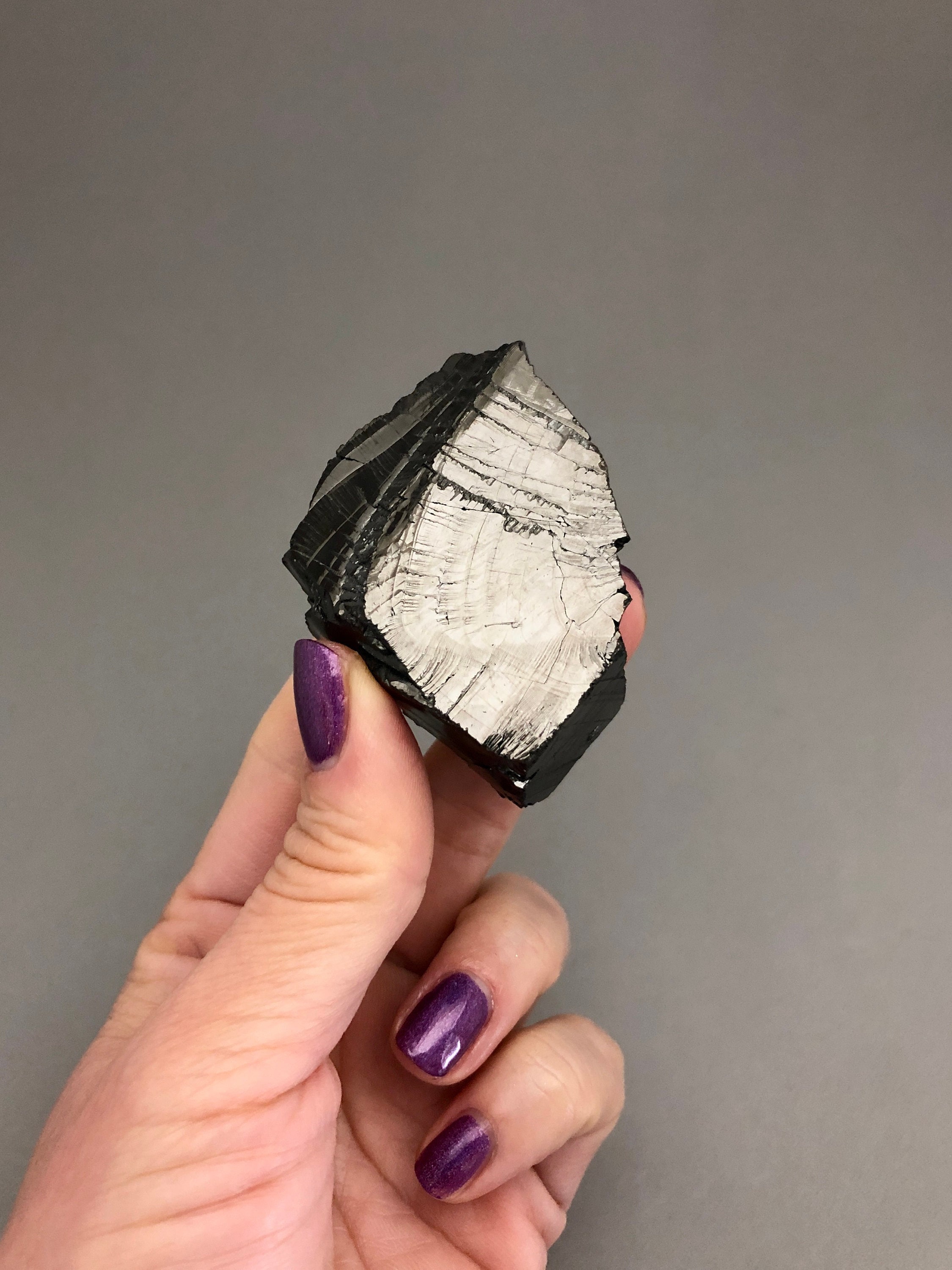 Rough Elite Shungite Noble Shungite Raw Stone Emf 5g Protection Grounding Earth Star Chakra Empath Protection Stone Metaphysical Shungite