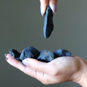 Shungite Raw Stone Shake Your World Crystal