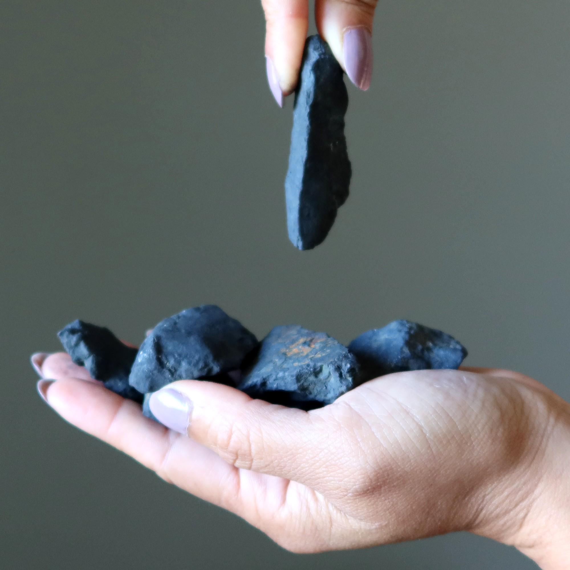 Shungite Raw Stone Shake Your World Crystal