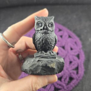 Composite Shungite Owl on Natural base EMF Protection Stones Carved Bird Spirit Animal Totem Crystals Wisdom Russia carving Composite Shungite Owl on Natural base EMF Protection Stones Carved Bird Spirit Animal Totem Crystals Wisdom Russia carving