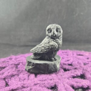 Composite Shungite Owl on Natural base EMF Protection Stones Carved Bird Spirit Animal Totem Crystals Wisdom Russia carving Composite Shungite Owl on Natural base EMF Protection Stones Carved Bird Spirit Animal Totem Crystals Wisdom Russia carving