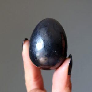 Shungite Egg Home Emf Protector Black Stone Shungite Egg Home Emf Protector Black Stone