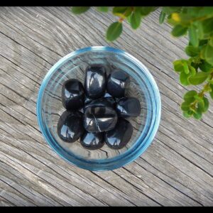 Tumbled Shungite