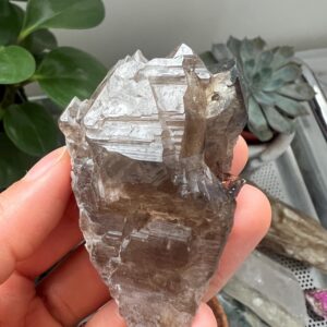 Elestial Smoky Quartz, Double Terminated Crystal (zimbabwe)
