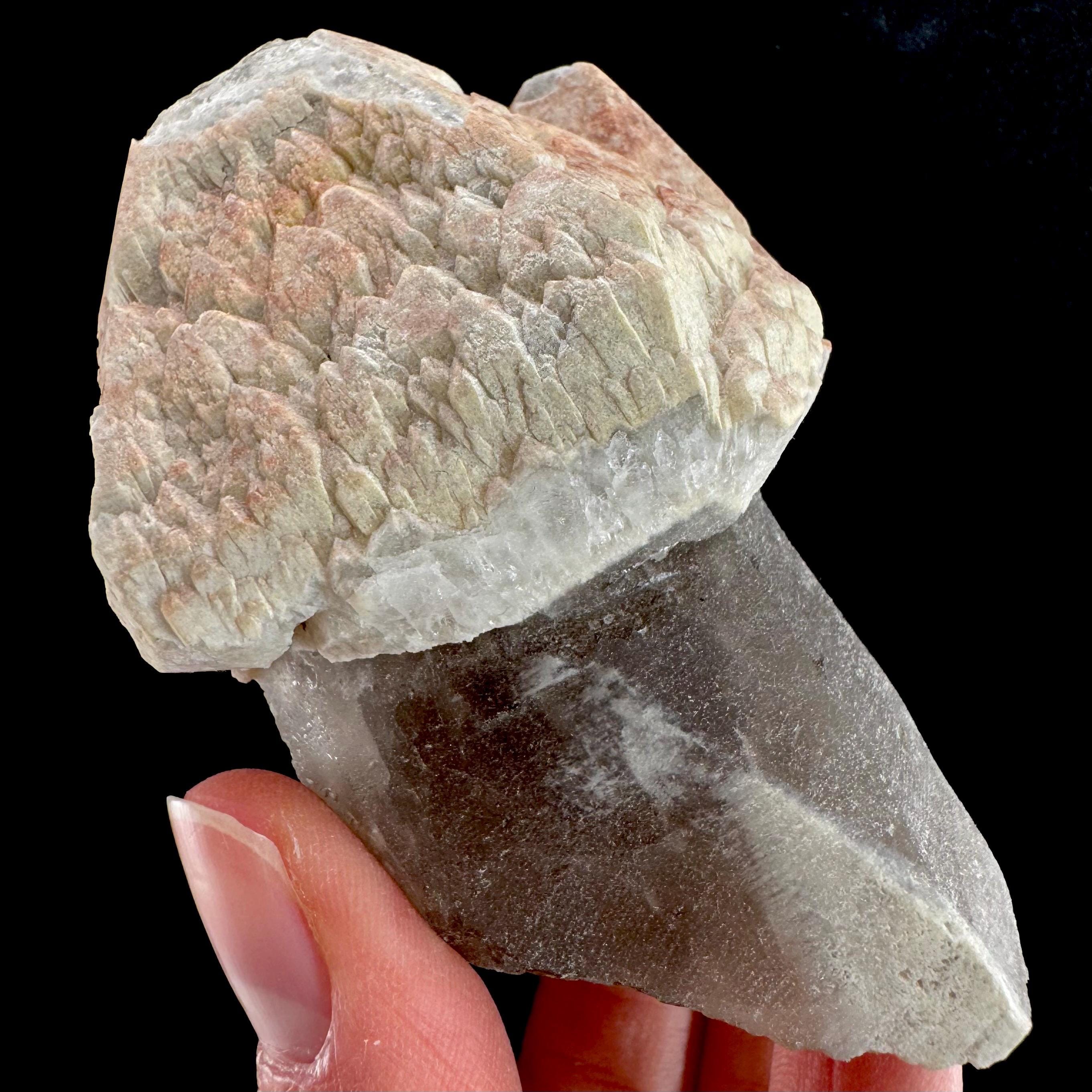 Smoky Quartz Scepter | Cream Hoppered Crystal Specimen Smoky Quartz Scepter | Cream Hoppered Crystal Specimen